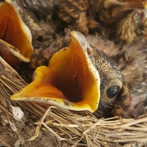 Meet your Posher, Stacey